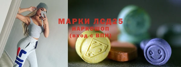 прущий лед Алзамай
