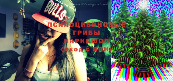 прущий лед Алзамай