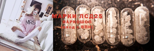 прущий лед Алзамай